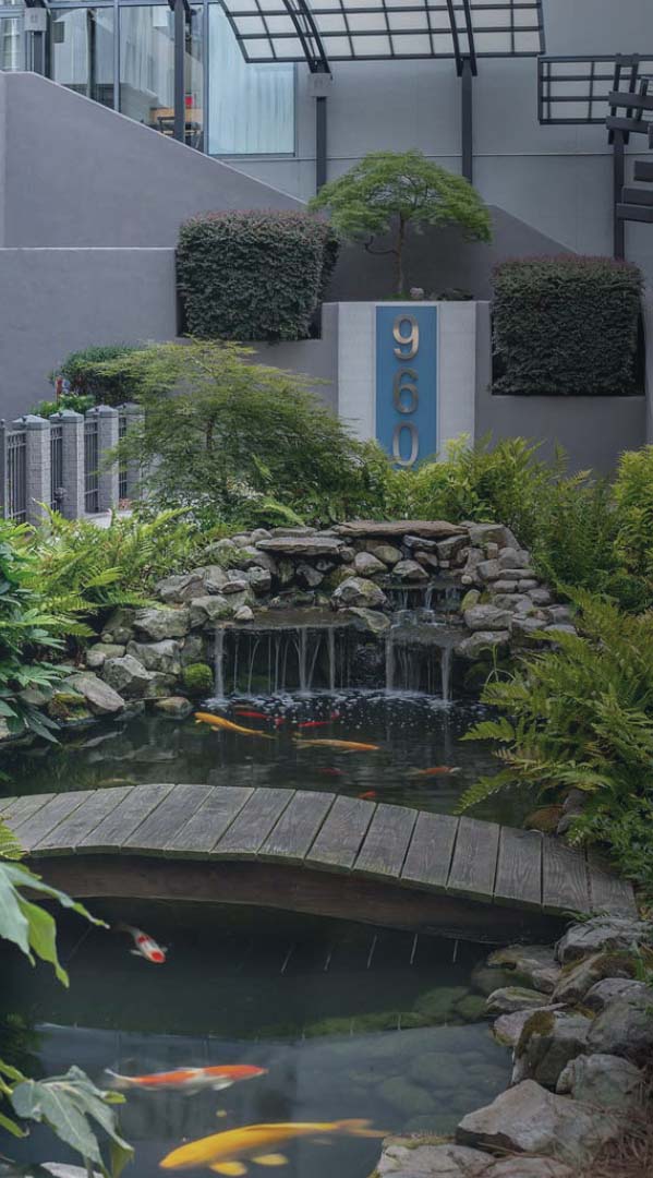 Water gardens featuring a fish pond at the Buckhead 960 apartment building